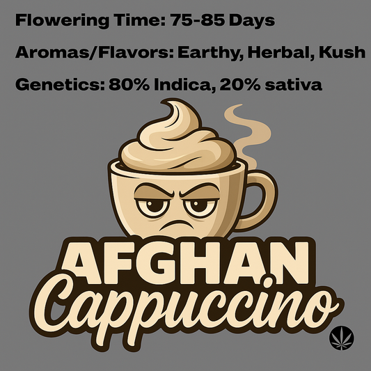 Afghan cappuccino