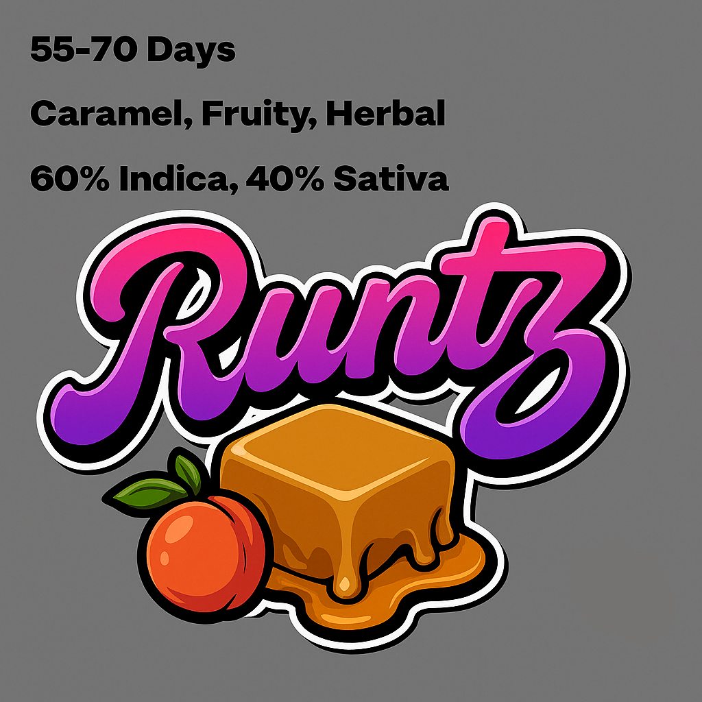 Runtz Refill Kit