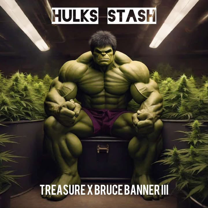 Hulks Stash