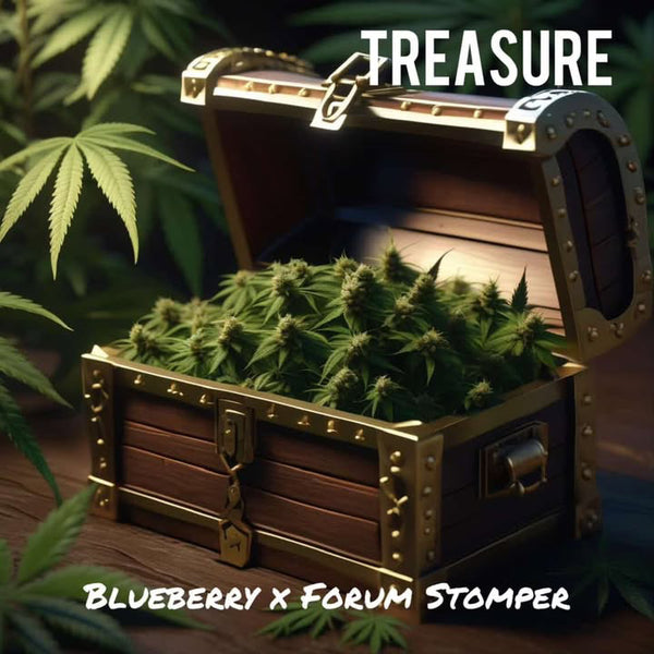 Treasure