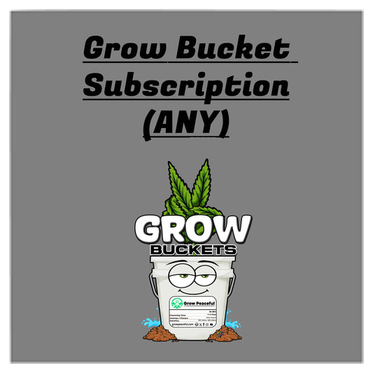 Grow Bucket Subscription (any strain)