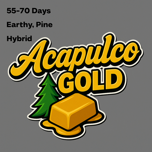 Acapulco Gold