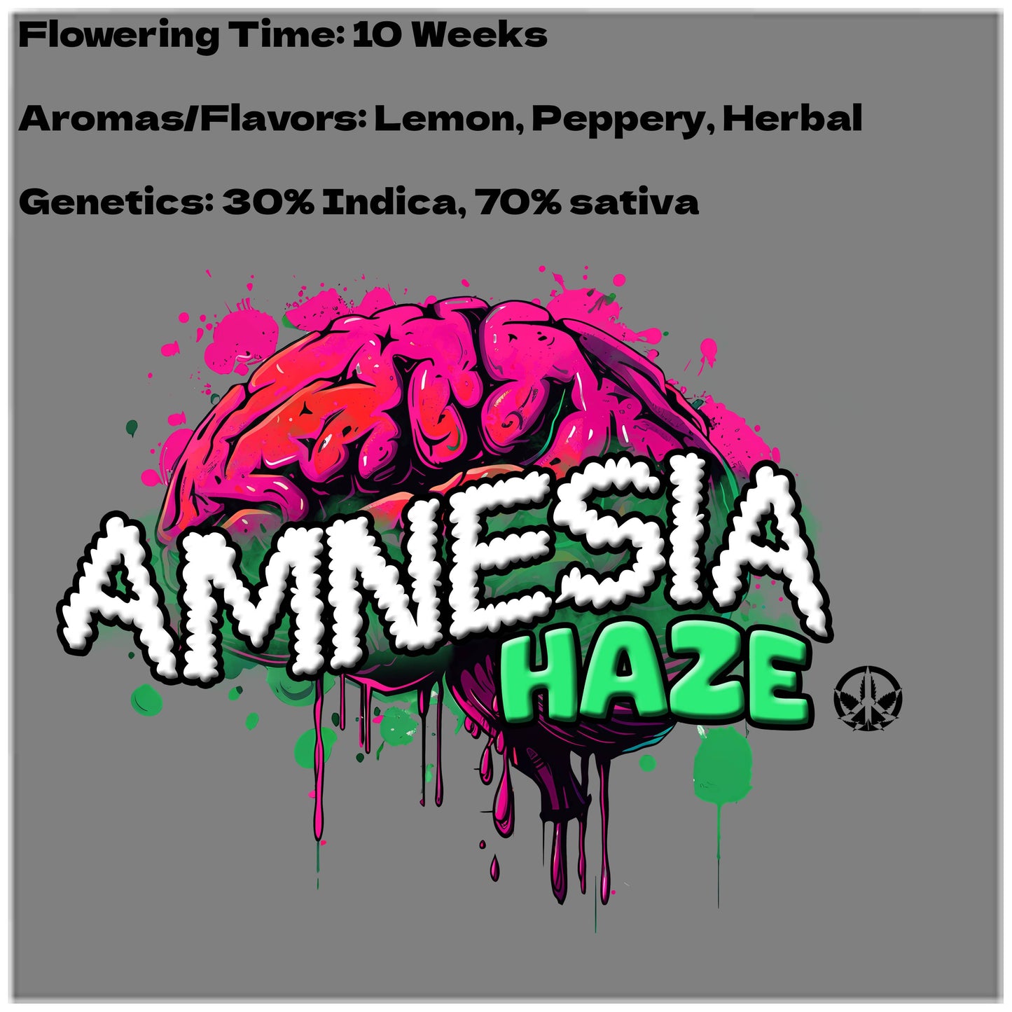 Amnesia Haze