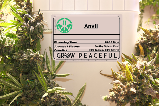 Anvil Refill Kit