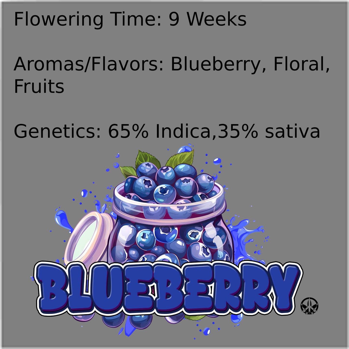 Blueberry