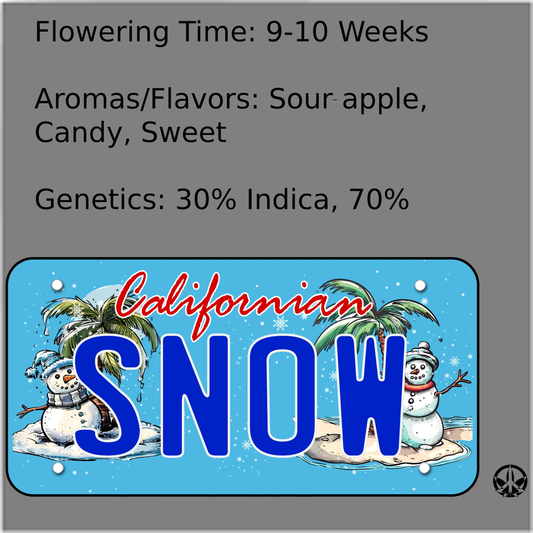 Californian Snow