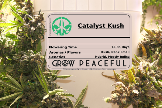 Catalyst Kush Refill Kit