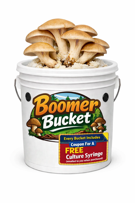 Boomer Bucket