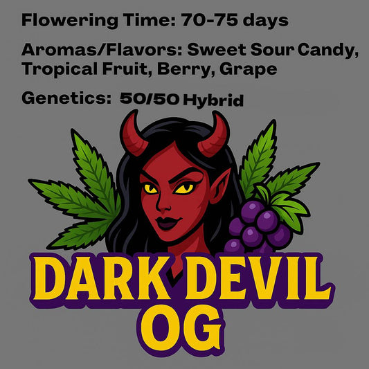 Dark Devil OG