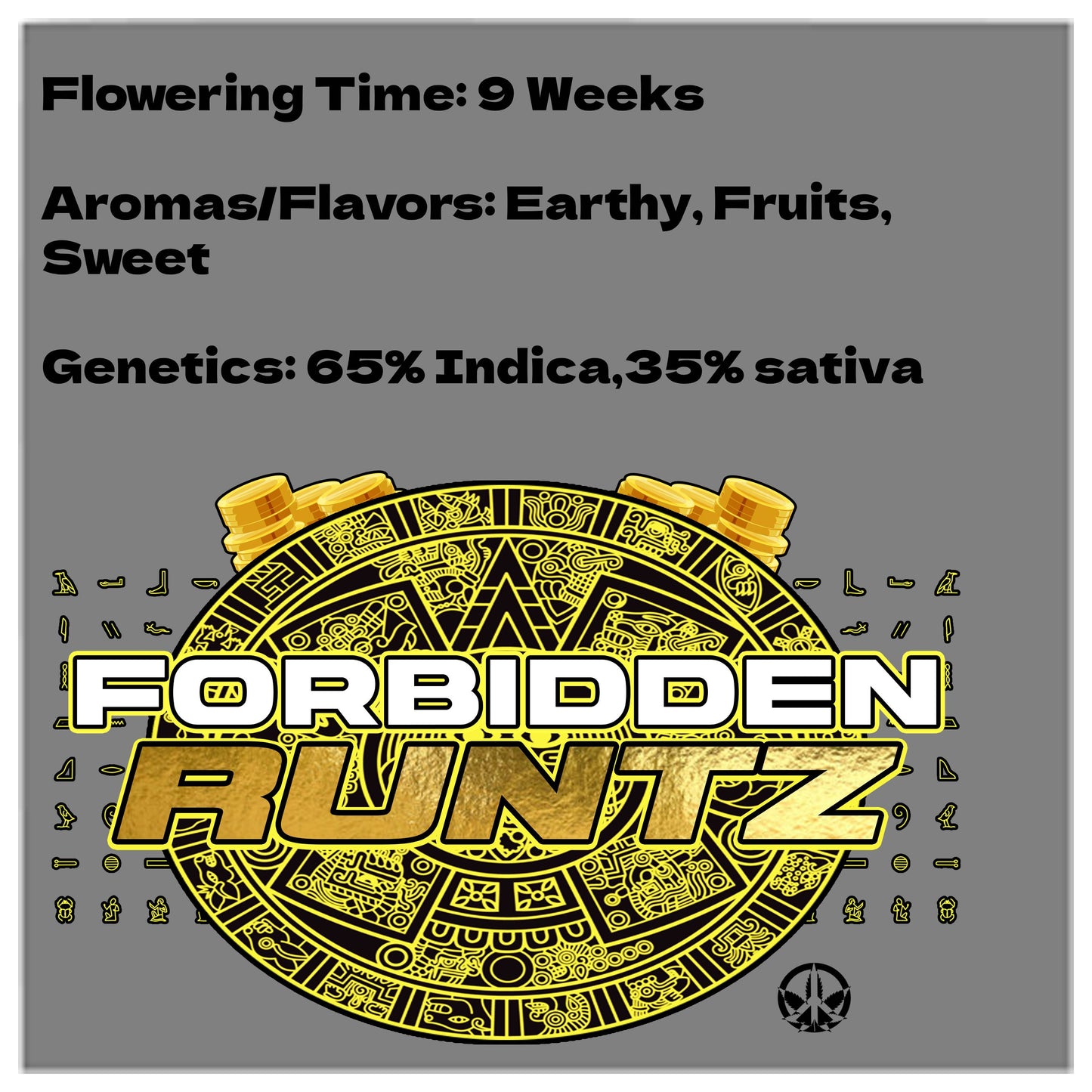 Forbidden Runtz Auto Seeds