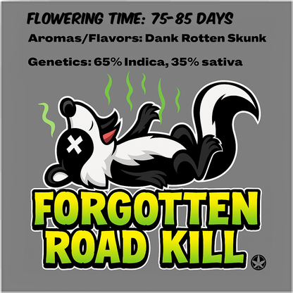Forgotten Road Kill