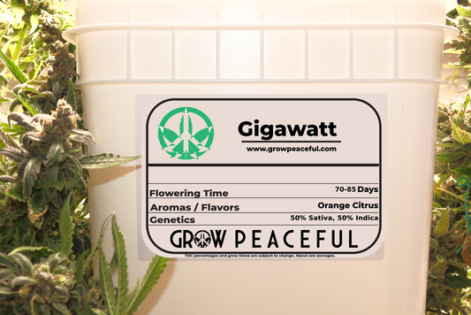 Gigawatt Refill Kit