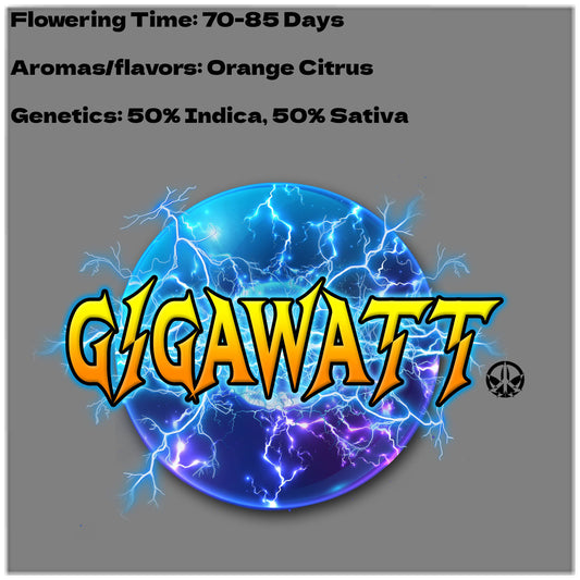 Gigawatt (Grow Peaceful Exclusive Strain)