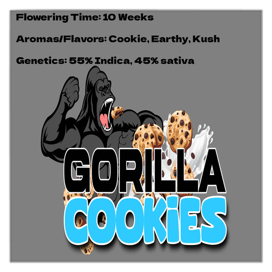 Gorilla Cookies