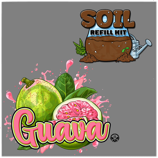 Guava Refill Kit