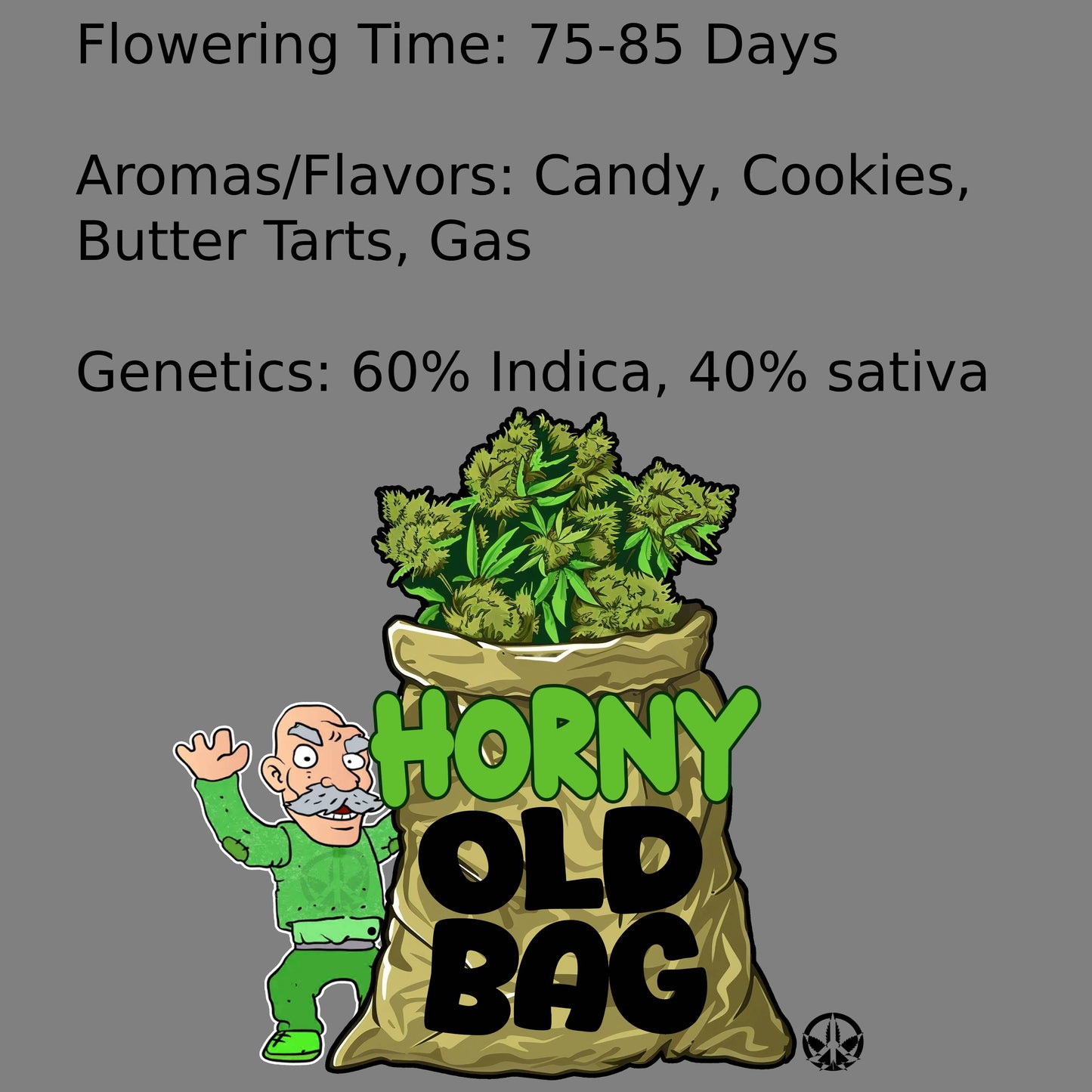 Horny Old Bag