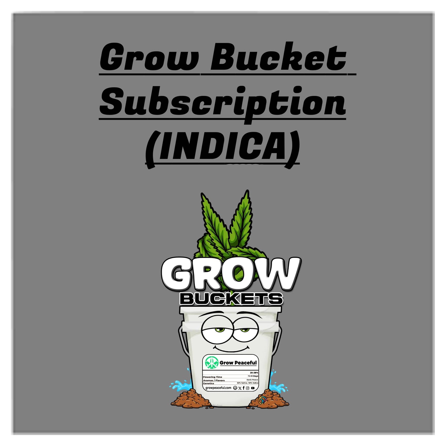 Grow Bucket Subscription (Indica)