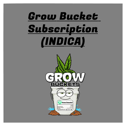 Grow Bucket Subscription (Indica)