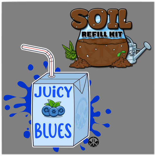 Juicy Blues Refill Kit