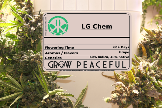 LG Chem Refill Kit