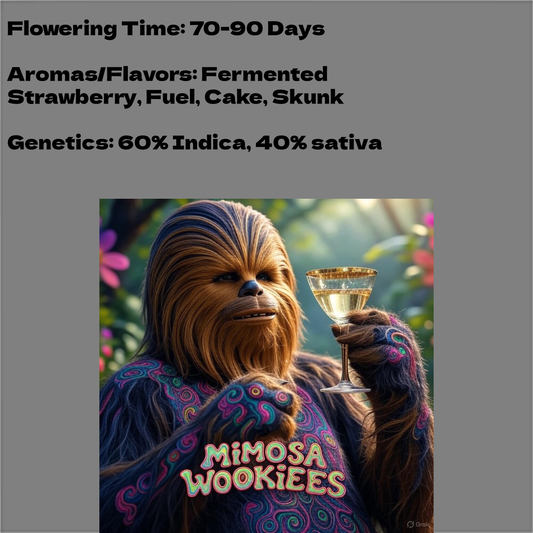 Mimosa Wookiees