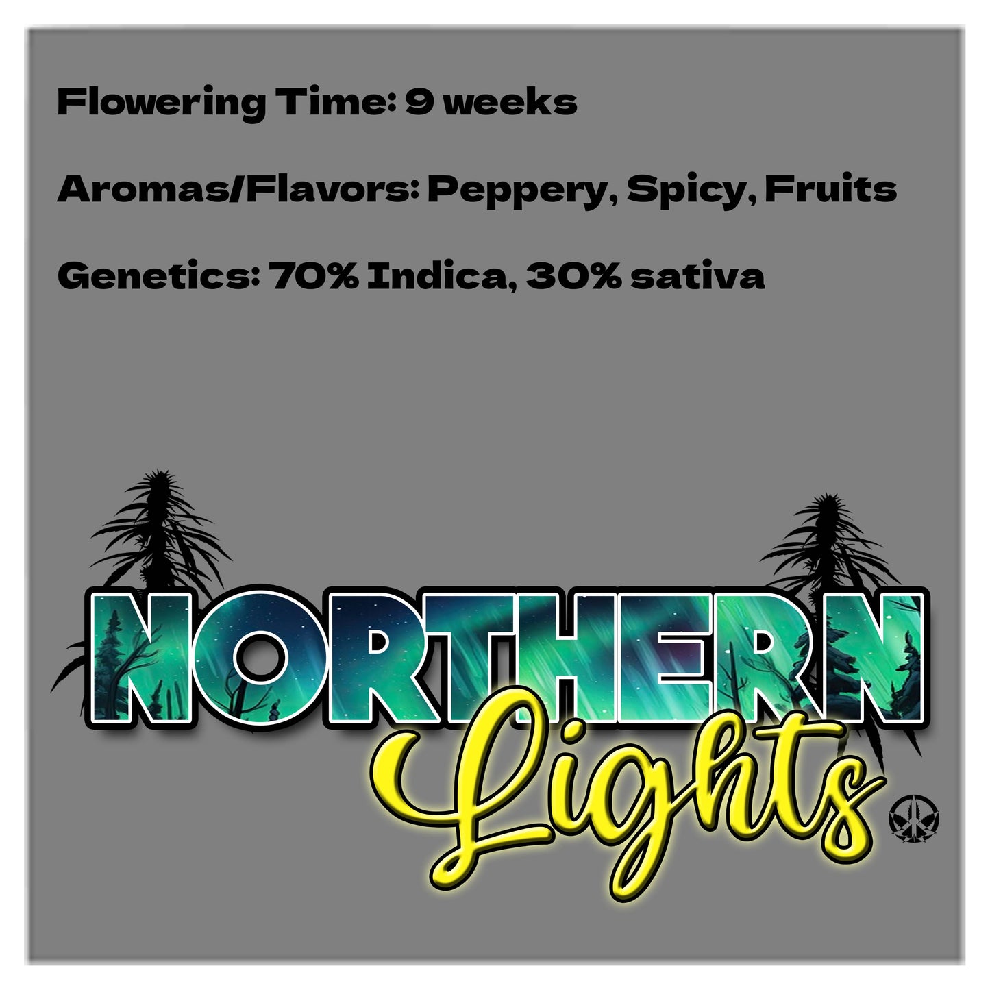 Nothern Lights Auto Seeds