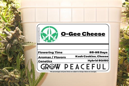 O-Gee Cheese Refill Kit