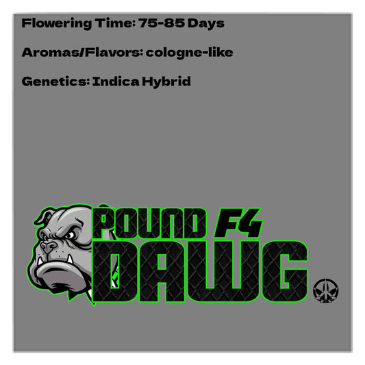 Pound Dawg F4