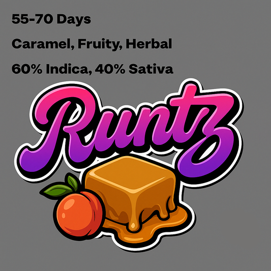 Runtz