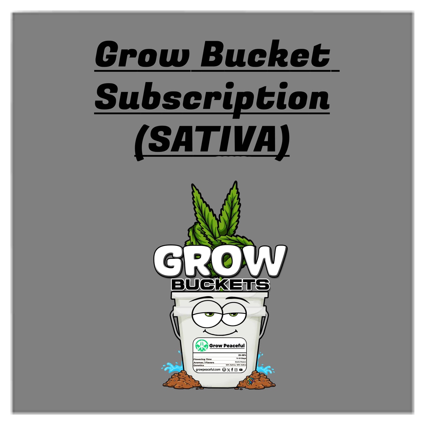 Grow Bucket Subscription (sativa)