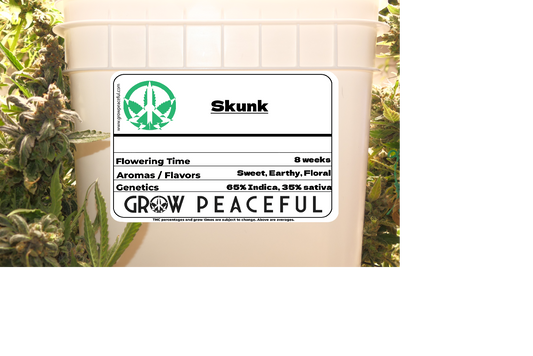 Skunk Refill Kit