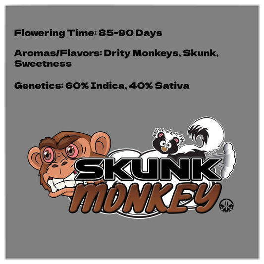 Skunk Monkey