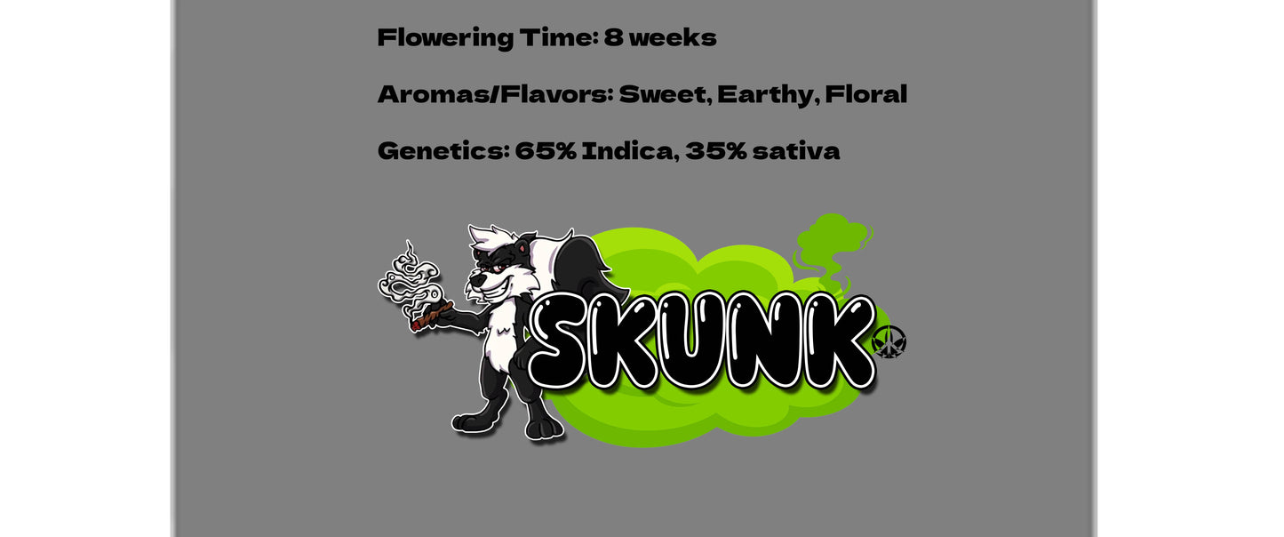 Skunk Auto Seeds