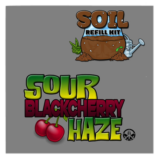 Sour Black Cherry Haze Refill Kit