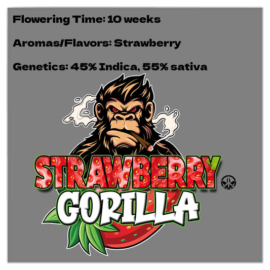 Strawberry Gorilla