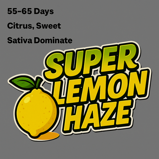 Super Lemon Haze