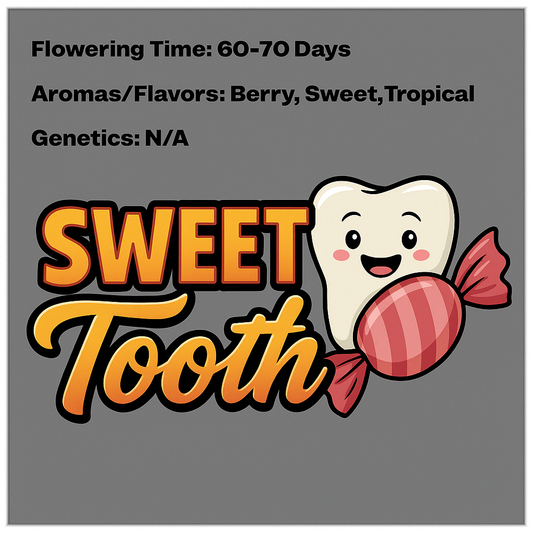 Sweet Tooth