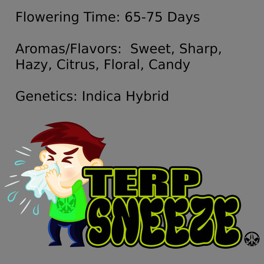 Terp Sneeze