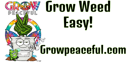Grow Peaceful Bumper Sticker