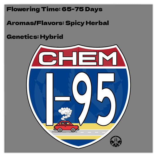 Chem I-95